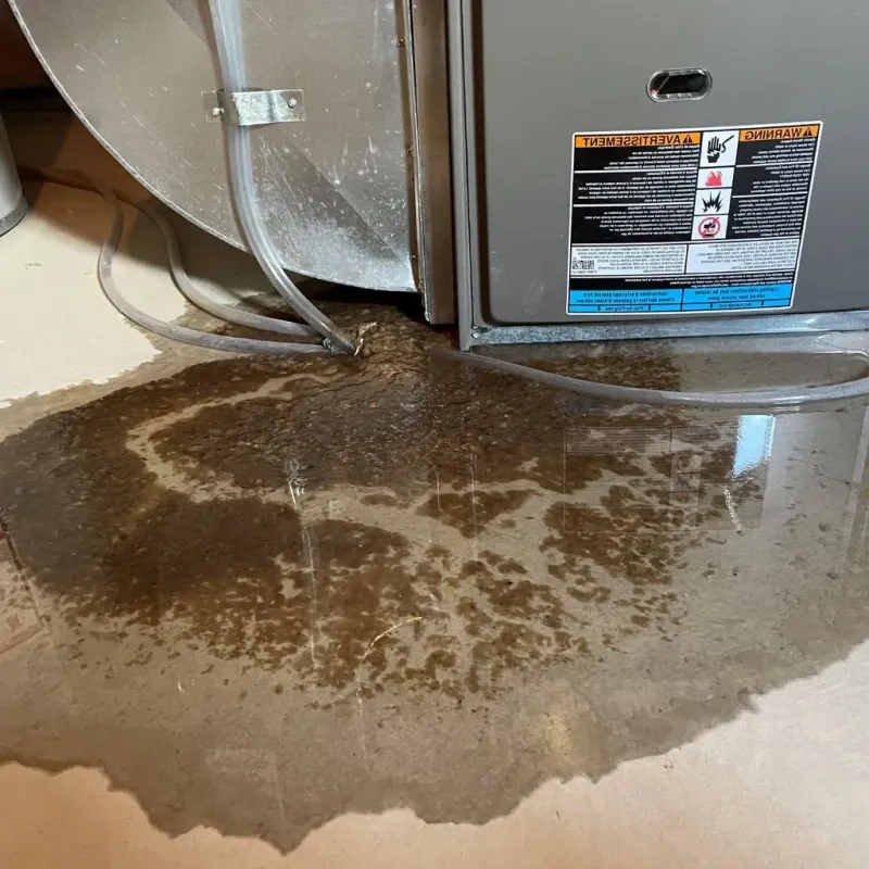 Pipe Burst and Leak Restoration in Norway, ME